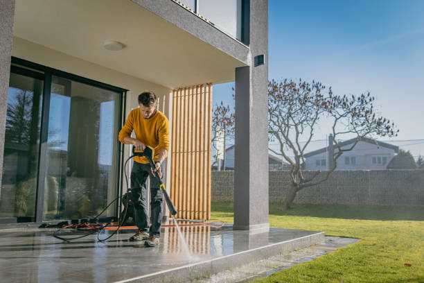 Best Soft Washing  in Pollock Pines, CA